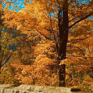 Meet your Posher, Kaley